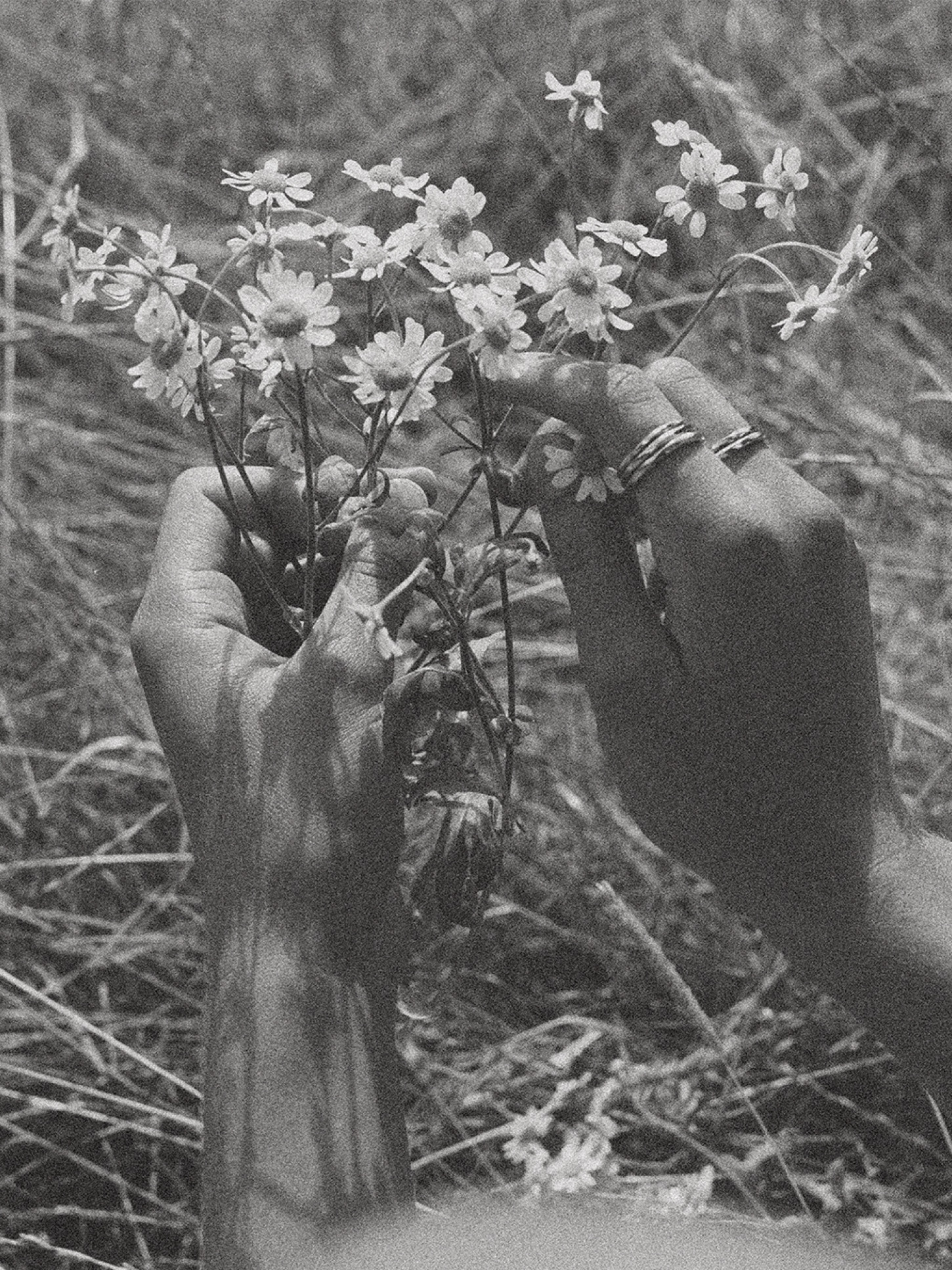 Responsibility statement