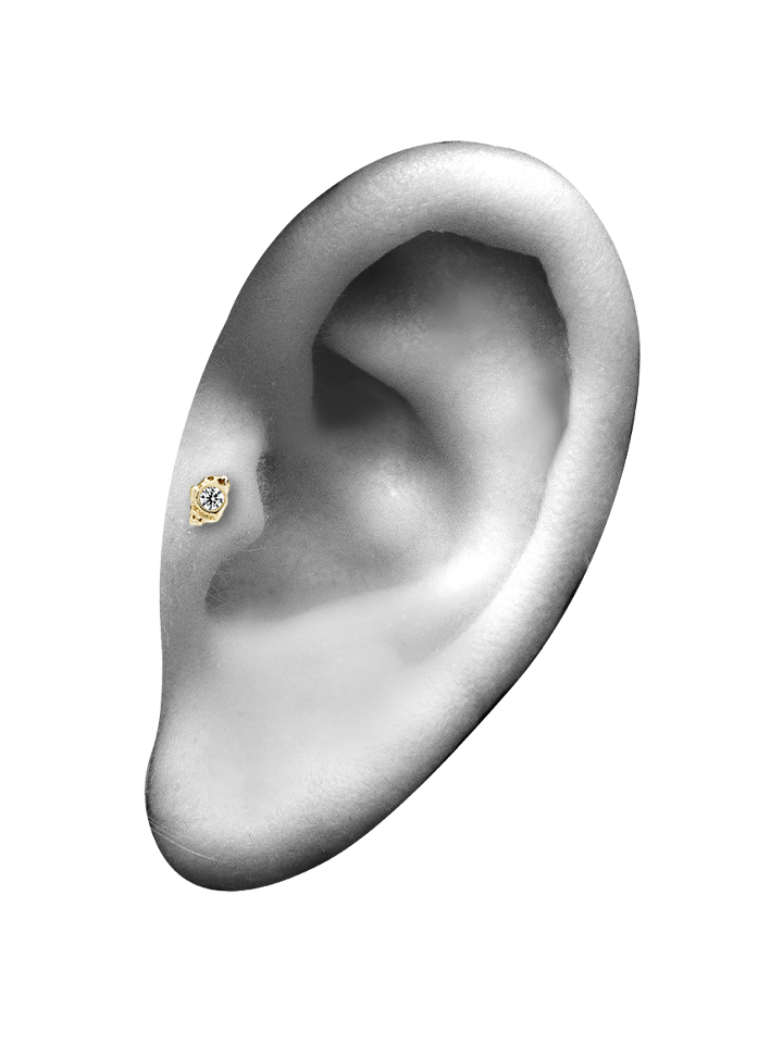 TRAGUS PIERCINGS