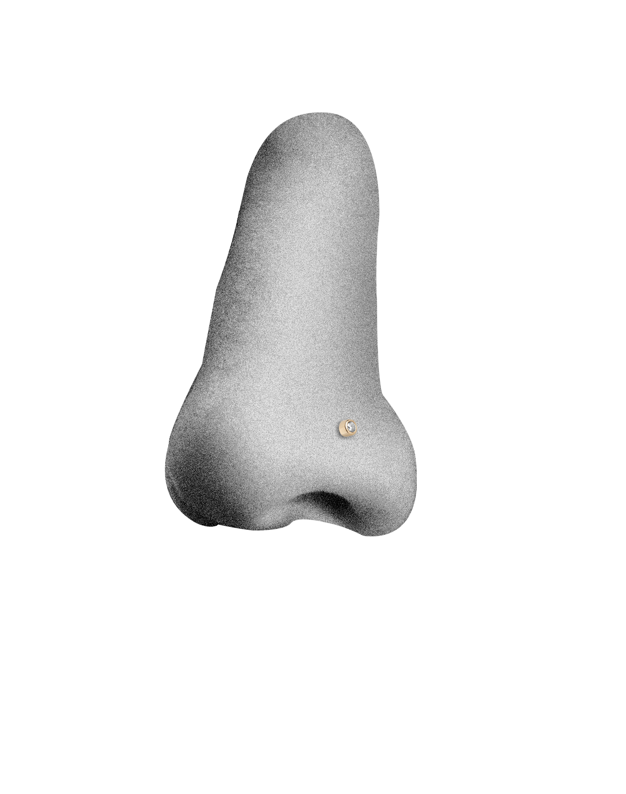 NOSTRIL (NÆSE) PIERCINGS
