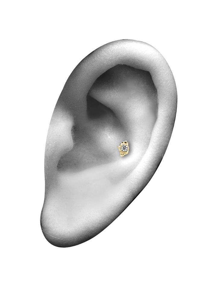 CONCH PIERCINGS
