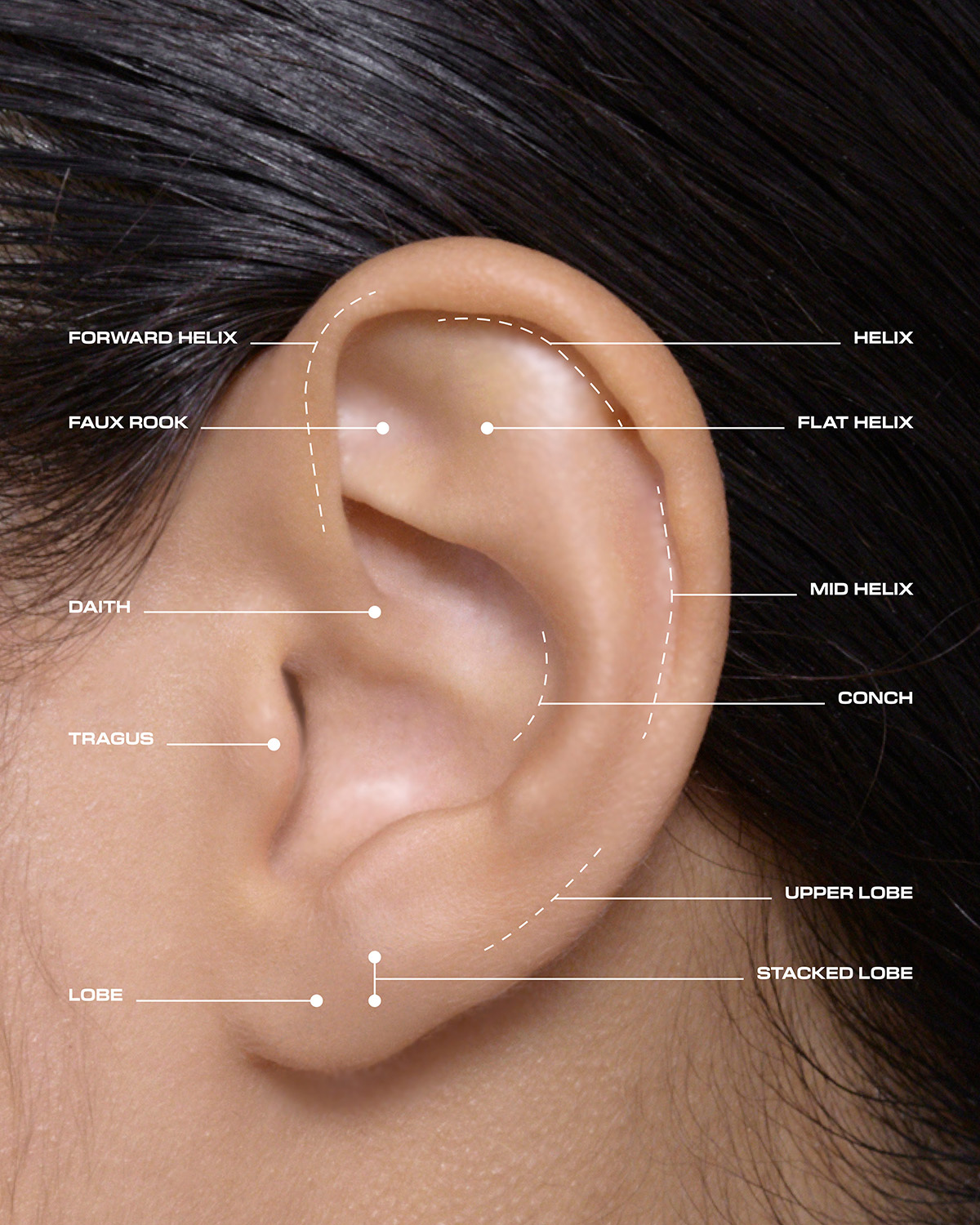PIERCING PRISER & FAQ