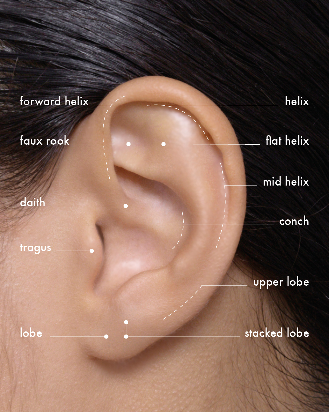 PIERCING PREISE & FAQ